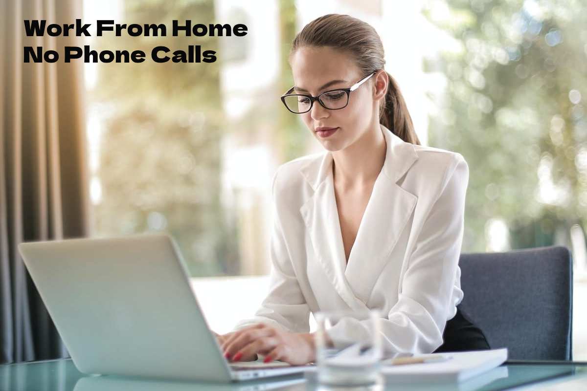 Work From Home No Phone Calls