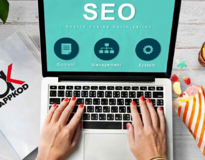SEO agency in usa appkod