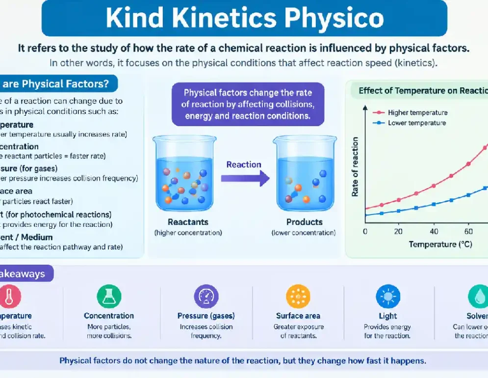 kind kinetics physio