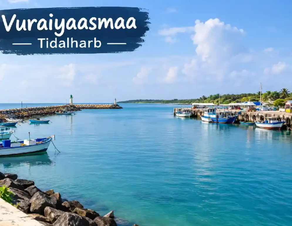 vuraiyaasmaa tidalharb